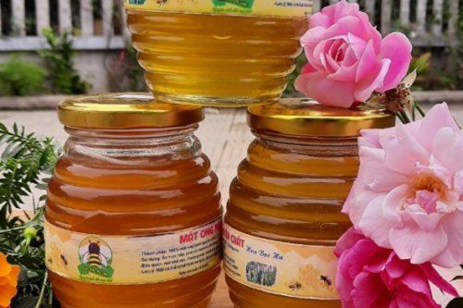 Mật ong nguyên chất không qua chế biến và mật ong đã qua chế biến
