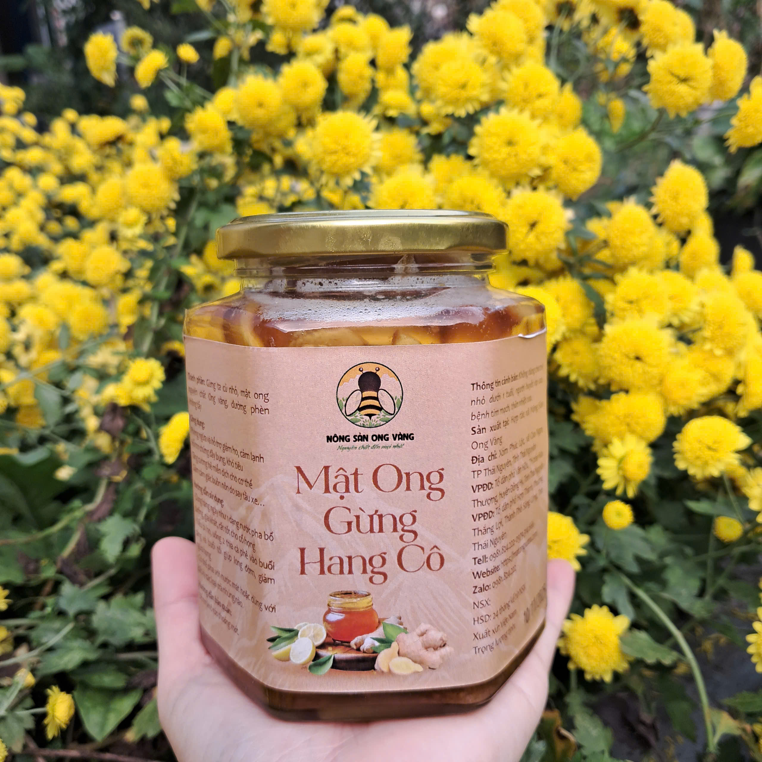 Mật ong gừng Hang Cô